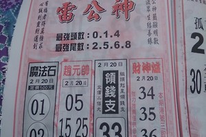 2/20 雷公神+善隱寺  六合參考