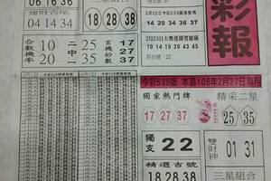 2/27 黑鷹彩報  六合參考