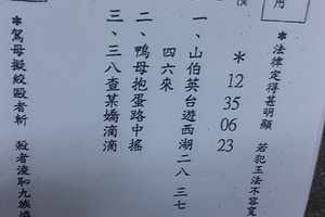 2/27~3/3 震興宮   六合參考