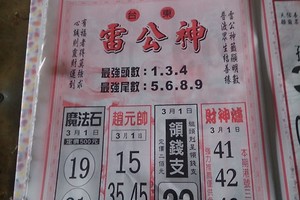 3/1 雷公神+善隱寺  六合參考