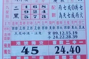 3/5 聖母寶鑑  六合參考