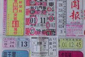 4/30 中國新聞報  六合參考