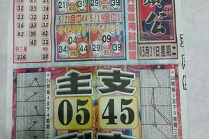 5/31 石頭公報+圓報  六合參考
