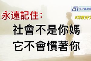 「榧木棋盤可以換一棟透天厝？」真的假的？超專業棋盤王神分析文讓鄉民都跪了!!