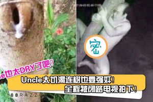 【连一棵树都不放过？】Uncle太DRY竟然强奸一棵树！全程被闭路电视拍下！