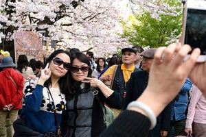 中國無預警發布「赴日旅遊禁令」換日本喊陸客不來了，日本網友得知消息後狂喜「感激這個德政」！