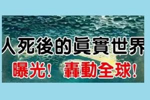 「人死如燈滅」，一位植物人畫家醒來畫出死後的世界，首度揭秘死亡世界。