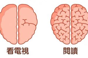 自己的大腦自己救！9個證明「大腦會很被你徹底影響」的行為！  