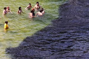 戲水的人們突然發現「海底有一群黑壓壓的影子在逼近」，看清楚是什麼後就確定世界末日離我們不遠了！