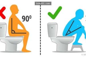 10件我們一直以來都做錯的「日常生活小事」，你知道連上廁所都有正確的角度嗎？ 