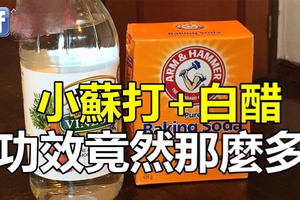 當「醋」遇見「小蘇打」後的神奇功效！