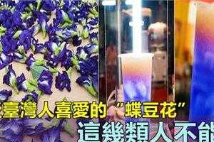 深受臺灣人追捧的「蝶豆花」，這幾種人不要喝，太損害身體，只是你一直不知道！