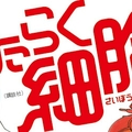 清水 茜《工作細胞》公開日文版第五集宣傳動畫短片！！