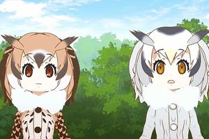 《動物朋友》與 Animelo Summer Live 合作影片釋出 跟著博士一起遵守演唱會禮儀