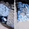 小麥袋突然倒塌　5工人被活埋