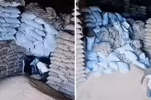 小麥袋突然倒塌 5工人被活埋 小麥袋突然倒塌 5工人被活埋