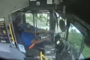 公車司機邊睡邊開　猛烈撞樹傷亡情況曝