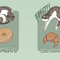 用６張插畫證明《貓咪其實是麵包》！原來貓皇不但是液體也是食物啊…