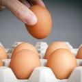 白鸡蛋、红鸡蛋哪种最好？鸡蛋虽好，但有3类人真的一口都别多吃