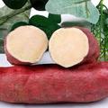 爱吃红薯的要注意，这种红薯不要买，当心吃坏了身体！