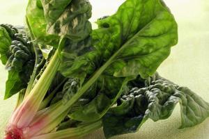 吃什么蔬菜对肺好，养肺润肺的食物介绍