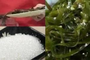 「海帶加白糖」的神奇功效，連服一個禮拜..沒想到居然產生超劇烈變化！太驚人！