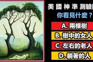 【超 准 心 測 驗】圖中你第一眼看見什麼？測 出 你 的 個 性 特 點