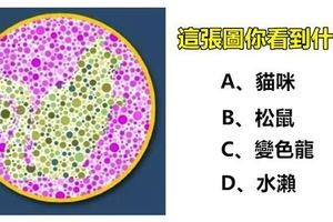 準得不要不要的！你第一眼看到什麼動物？看穿你不為人知的潛藏性格！