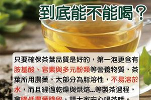 破迷思　茶葉的第一泡到底能不能喝？