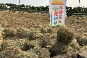 一石二鳥！不露天焚燒稻草愛地球　捆堆開放免費取用