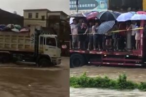 暴雨侵襲！貨車運載百名考生赴考場　網笑：像在運豬…