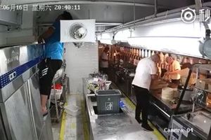 影／餐廳員工修冰箱慘遭電死　屍體卡半空25秒無人發現！