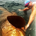 男子在船上釣魚竟捕抓到一隻「巨型生物」，撈起一看大家都驚呆了！