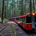 優閒好去處！阿里山森鐵10月增「水山支線」