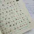 女殺蚊成冊！80隻蚊「死狀」全紀錄　讓網友都跪了：療癒