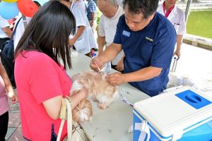 屏縣響應928世界狂犬病日 256株疫苗免費施打