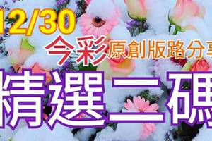 12/30 金彩539  原創版路分享 精選二碼 二中一 新年快樂接財神 ! !