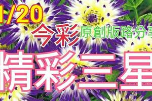 1/20 金彩539 原創版路公開 精選三碼 闖關再戰 ! !