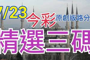 7/23 今彩539 精選三碼 三中一 請點圖看看 !