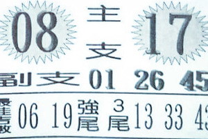 11月3日大樂透（兩大張）參考看看。