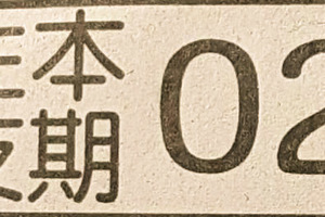 11月9日六合彩（本期主支，雙子星，大船入港）參考看看。