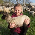 養羊賺零用錢！　6歲女孩超有商業頭腦…熱愛牧場工作