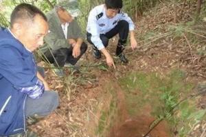 农村大爷上山砍柴时意外看见稀奇动物, 吓得急忙报警