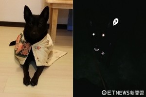 農曆7月都過了QQ 拍照只剩嘴巴眼睛　媽笑壞：黑狗的悲哀