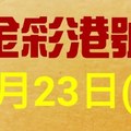 %金彩港號% 六合彩 9月23日多期版路號碼(1)