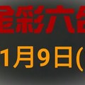 ◆金彩六合◆六合彩 11月9日連開孤支版路 （1）