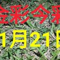 $金彩今彩$ 今彩539--11月21日加減版路號碼大公開