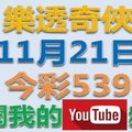 樂透奇俠-11月21日今彩539號碼預測