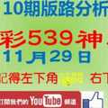 [今彩539神算] 11月29日 2支 10期版路分析