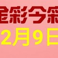 $金彩今彩$ 今彩539--12月9日連續版路號碼揭密